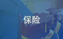 保险