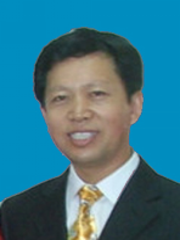 高宏伟 教授