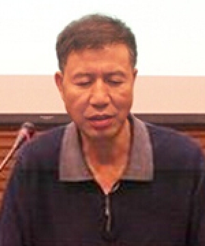 闵华清 