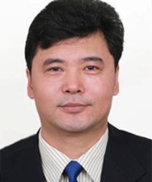 葛宝臻 工学博士，教授