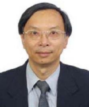 叶嘉安 教授