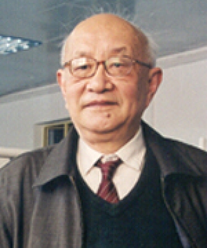 查全性