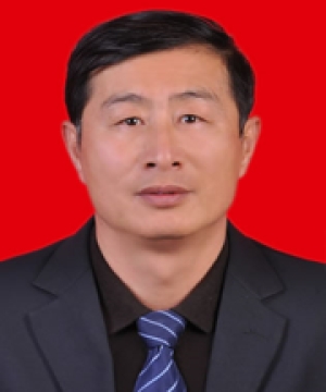 杨宏业教授 